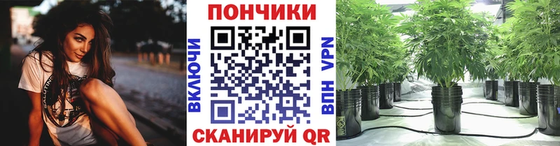 Бошки Шишки VHQ  Павловский Посад 